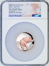 Load image into Gallery viewer, 2022 Australia Pink Gold GILT HIGH RELIEF 5oz Silver Koala $8 Coin NGC PF70 ER
