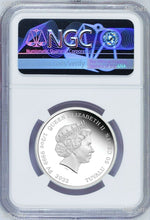 Load image into Gallery viewer, 2022 PROOF Silver Lunar Year of the TIGER Baby NGC PF 70 1/2oz Coin 1st Releases
