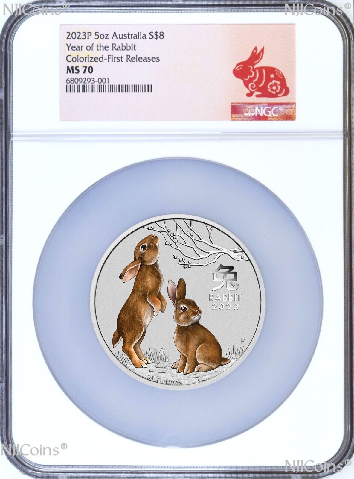 2023 Australia Silver Colorized Lunar Year of the RABBIT 5oz $8 Coin N ...